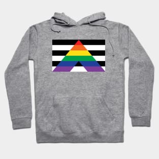 Straight Ally Pride Hoodie